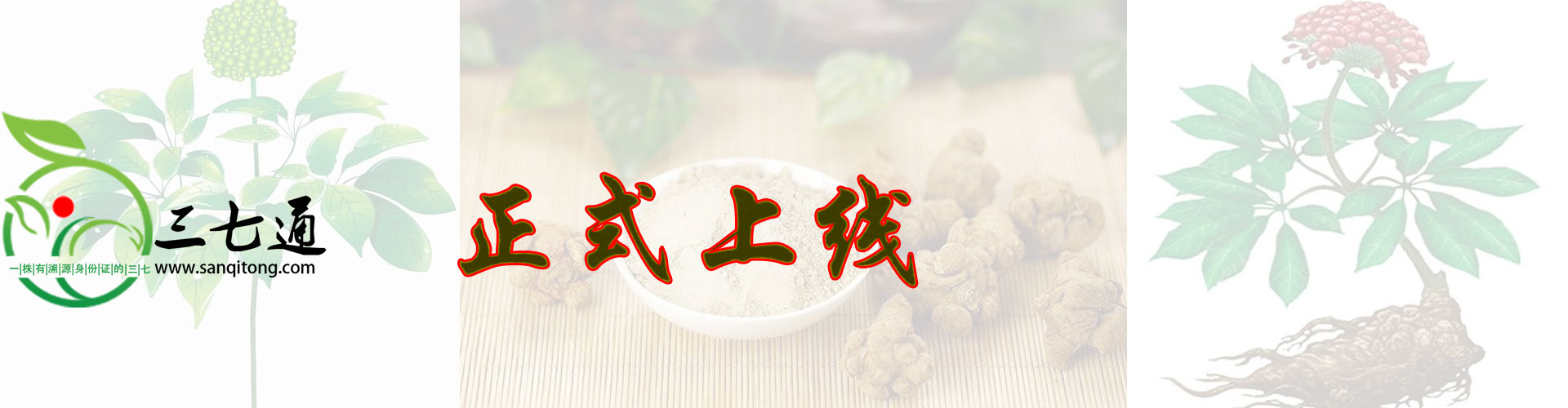 一頭有身份的三七，可溯源三七，藥材好，藥才好